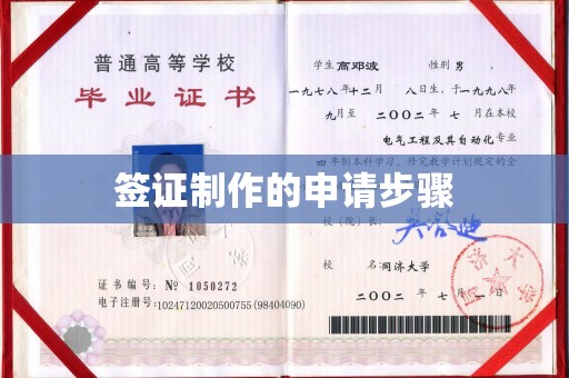 浉河签证制作的申请步骤