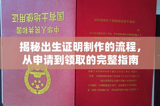 浉河揭秘出生证明制作的流程，从申请到领取的完整指南