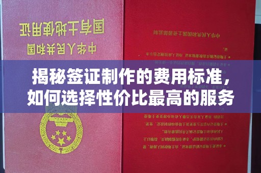 浉河揭秘签证制作的费用标准，如何选择性价比最高的服务？