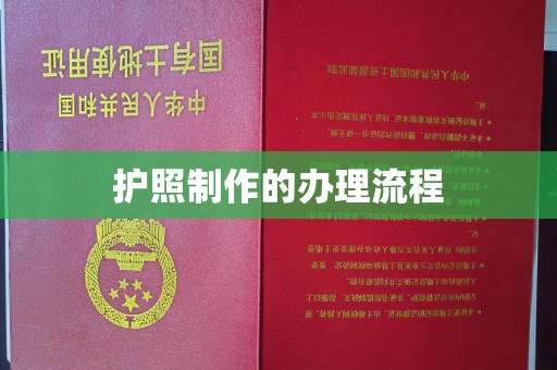浉河护照制作的办理流程