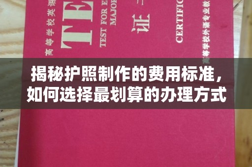 浉河揭秘护照制作的费用标准，如何选择最划算的办理方式？